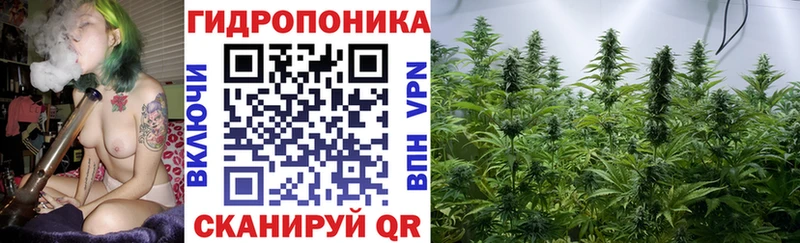 Цена Шимановск COCAIN Alpha-PVP OMG зеркало МДМА Мефедрон ГАШ Бошки Шишки Псилоцибиновые грибы